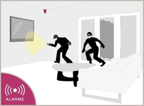 Anti- Intrusion/Anti-incendie